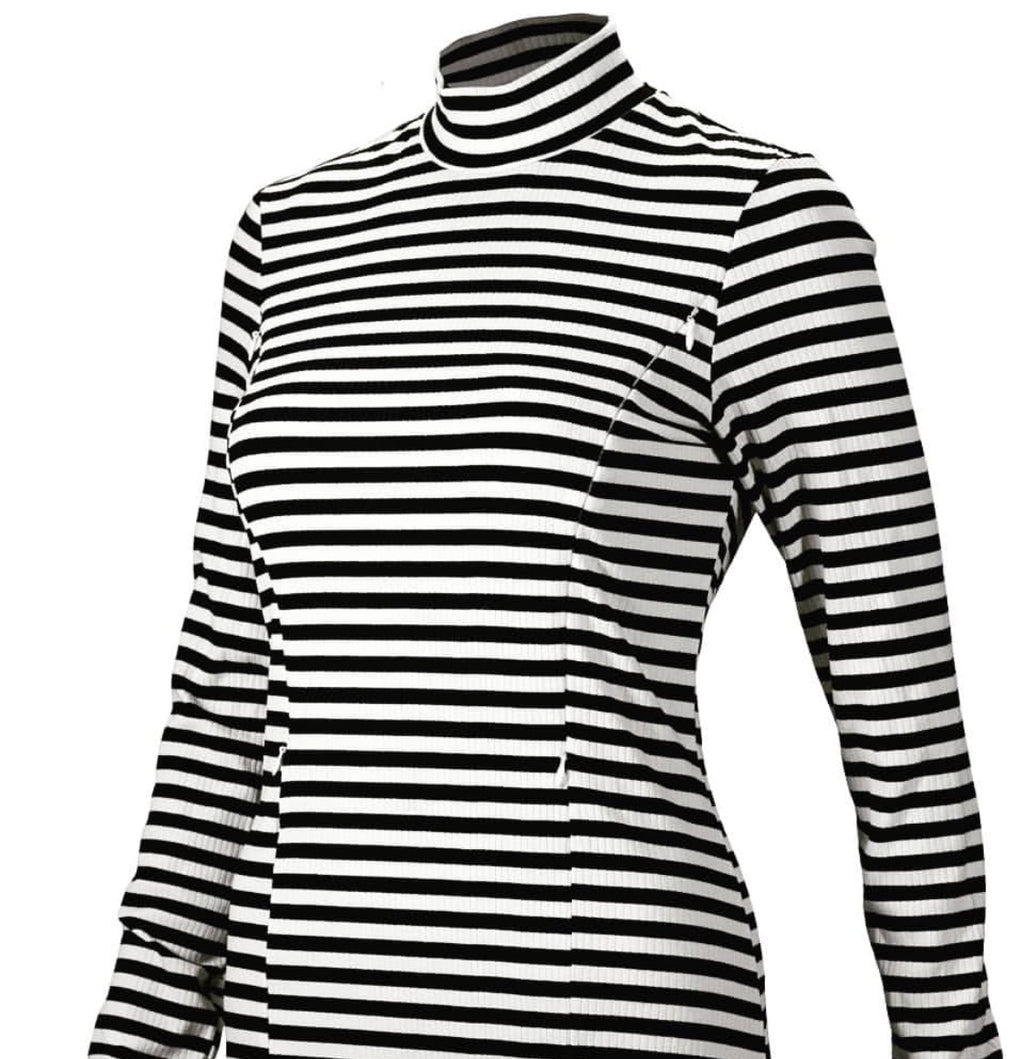 Stripped Turtleneck